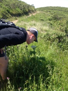 Man leaning over and smelling flower