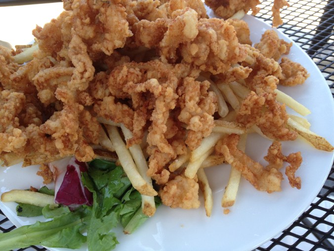 Plate of fried clam strips and French fries
