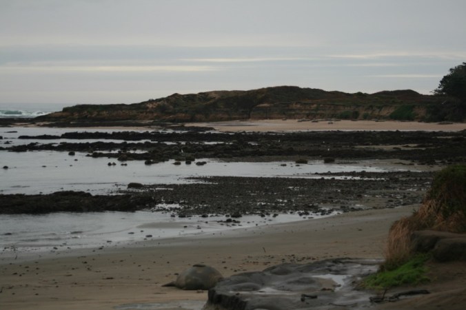 Ano Nuevo State Park